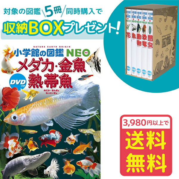 楽天市場】【収納BOX付・送料無料・条件有】小学館の図鑑NEO 昆虫2 DVDつき 地球編 : ゆめたまご