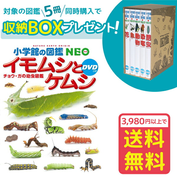 【楽天市場】【おまけ付】【収納BOX付・送料無料・条件有】小学館の図鑑NEO［新版］両生類・はちゅう類 DVDつき : ゆめたまご