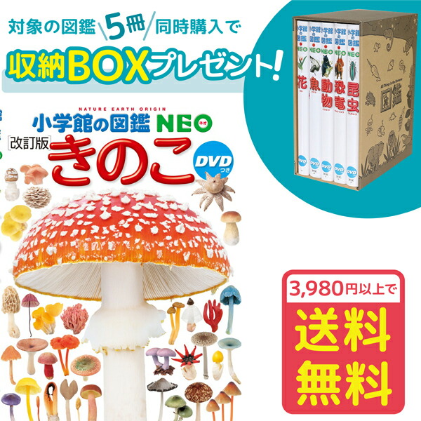 【楽天市場】【おまけ付】【収納BOX付・送料無料・条件有】小学館の図鑑NEO［新版］両生類・はちゅう類 DVDつき : ゆめたまご