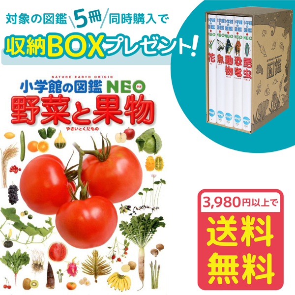 【楽天市場】【おまけ付】【収納BOX付・送料無料・条件有】小学館の図鑑NEO［新版］両生類・はちゅう類 DVDつき : ゆめたまご