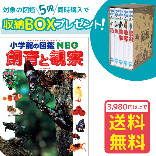 楽天市場】【収納BOX付・送料無料・条件有】小学館の図鑑NEO