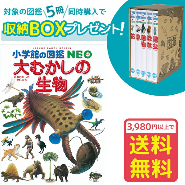 【楽天市場】【おまけ付】【収納BOX付・送料無料・条件有】小学館の図鑑NEO［新版］魚 DVDつき : ゆめたまご