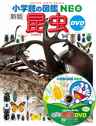未使用⭐︎小学館の図鑑NEO 5冊セット 図鑑NEO 基本 5冊セット |本 | 通販 | Amazon