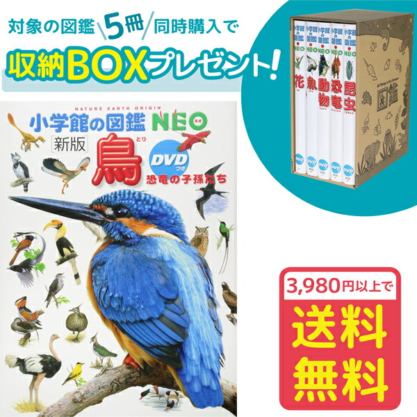 【楽天市場】【収納BOX付・送料無料・条件有】小学館の図鑑NEO［新版］魚 DVDつき : ゆめたまご