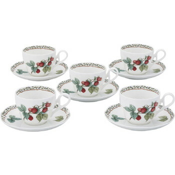 Noritake（ノリ竹） 果樹園庭園 お茶・珈琲碗皿５客仕掛ける F97887/4911