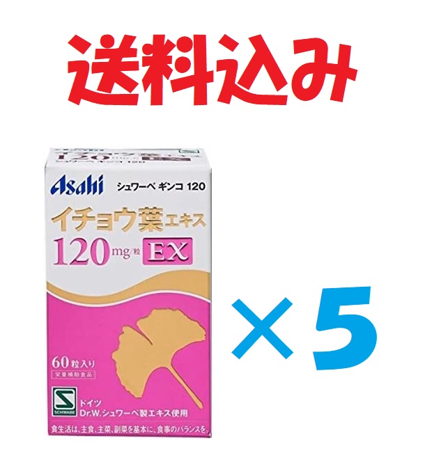 定形外）アサヒグループ食品株式会社 シュワーベギンコ イチョウ葉