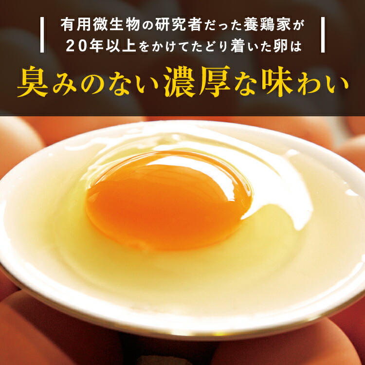 日本 金太郎たまご 120玉入 世界基準 有精卵 平飼い 有用微生物 最高級品位 産地直送 健康 那珂川市 地下水 送料無料 ギフト 国産 たまご 自然 卵 縁起 fucoa.cl