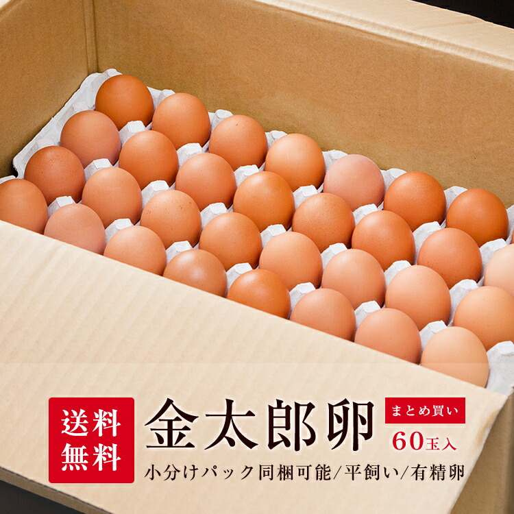 メーカー直売】 送料無料 金太郎たまご 60玉入 世界基準 有精卵 平飼い 有用微生物 最高級品位 産地直送 健康 那珂川市 地下水 ギフト 国産  たまご 自然卵 縁起 whitesforracialequity.org