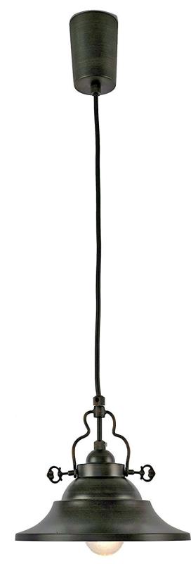 Ampoule ペンダントライト 照明 おしゃれ 1灯 アイアン 照明器具 電球別売 ブラック RAUTA2 ラウタ2