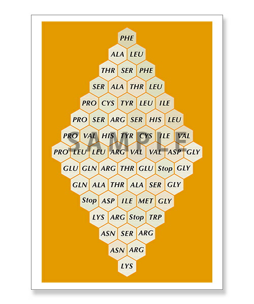 バイオエネルギーマトリックス　ポストカード画像