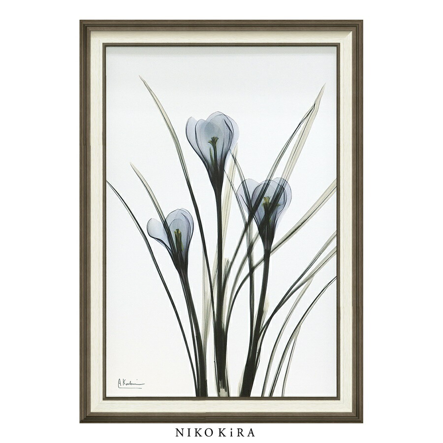 正規品 油彩画 かわいい 絵画 花 華 アート おしゃれ 絵 送料無料 プレゼント飾る 玄関 トイレ リビング 壁掛け パネル アート 高さ91 5cm 幅64 5cm Lサイズ クロッカス キャンバスアート Ray X おしゃれ モダン風景画 インテリア Ernestokruger Com