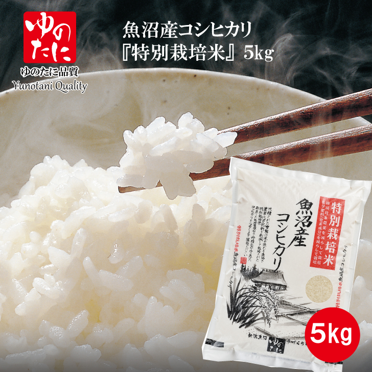 再再販 〘 魚沼産コシヒカリ白米10kg〙 令和4年産 湧き水栽培白倉米