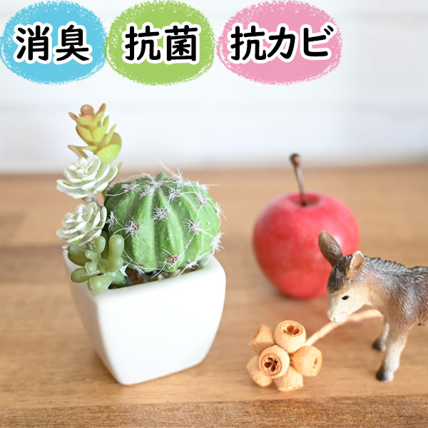 楽天市場】光触媒より便利な『CT触媒フェイクグリーン寄せ植え丸鉢