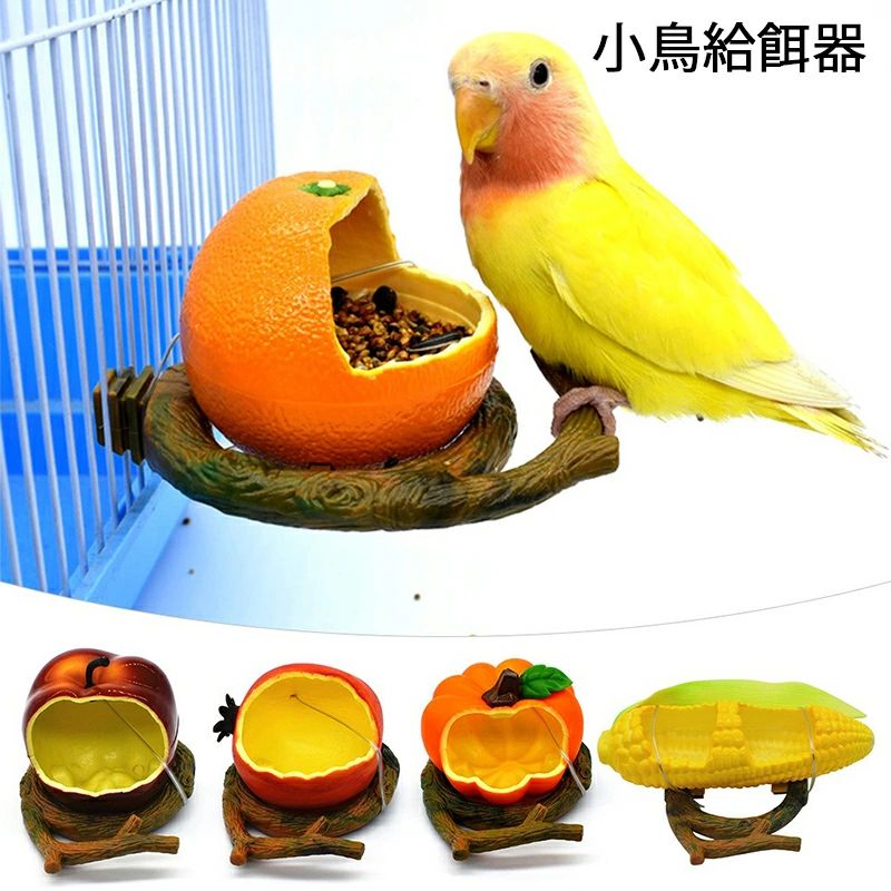 鳥専用自動給餌器（小粒用）と備長炭セット 鳥専用自動給餌器（小粒用）と備長炭セット