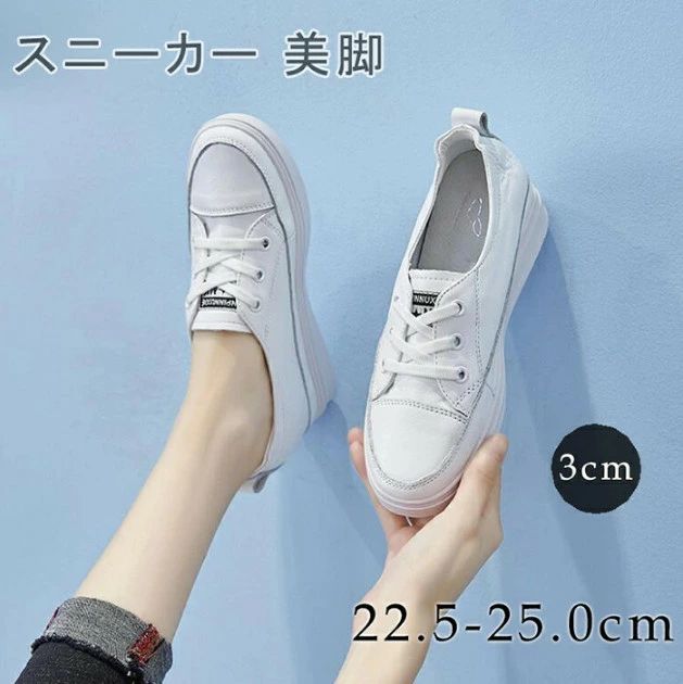 レースアップ インヒール ローカット スニーカー 白インヒール レディース 靴|Yuri Yuri Fashion