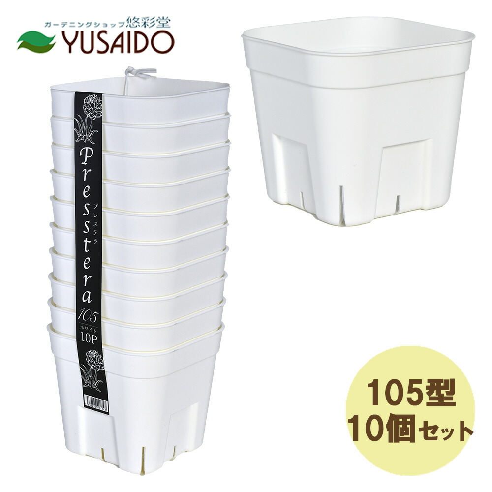 楽天市場】【本日ポイント5倍】スリット鉢 苗用 プレステラ 深