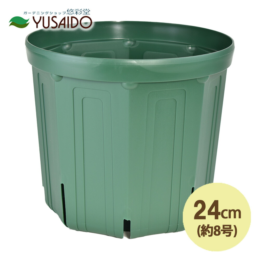 楽天市場】【ポイント5倍】兼弥スリット鉢 40cm 13号 CSM-400 モス