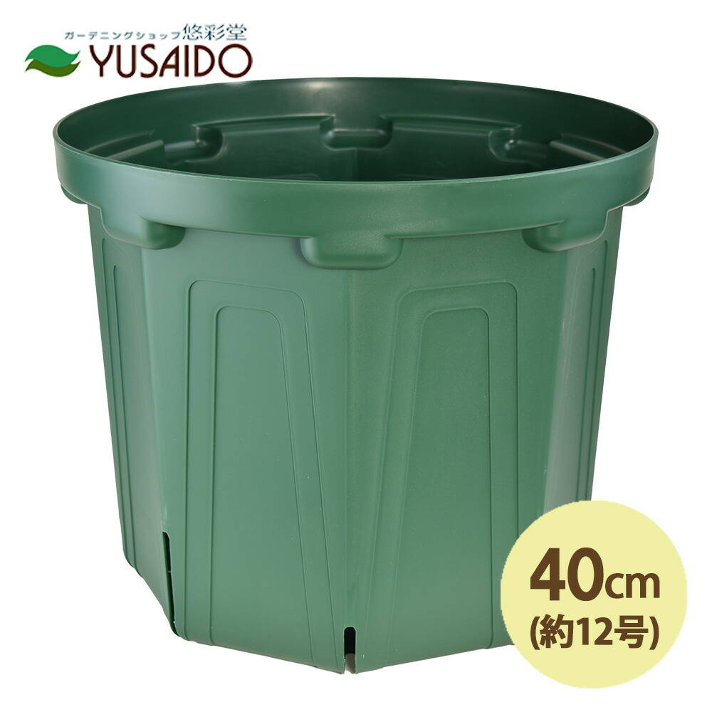 楽天市場】【ポイント5倍中】兼弥スリット鉢 懸崖鉢 30cm 10号