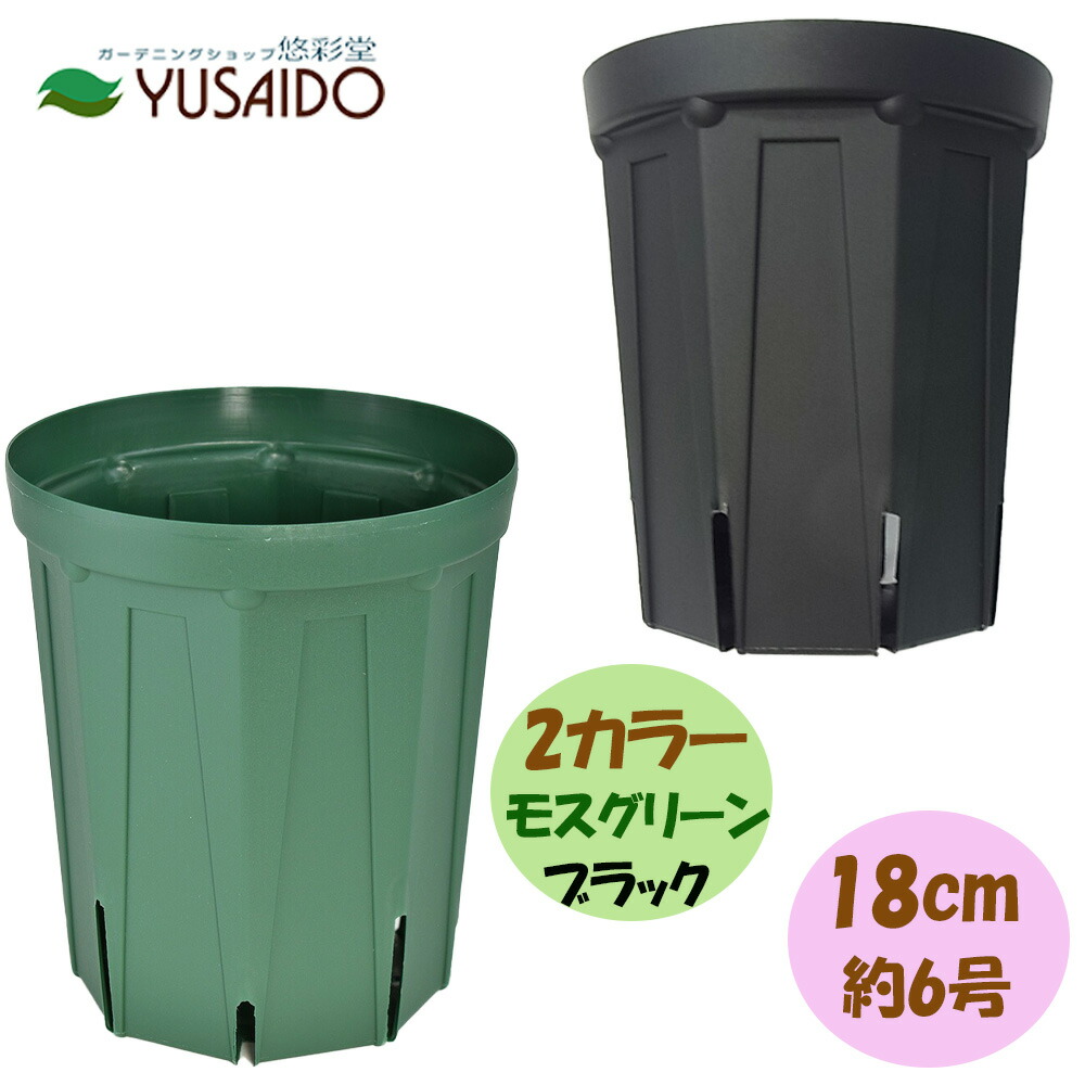 楽天市場】兼弥スリット鉢 21cm 7号 CSM-210 モスグリーンカネヤ