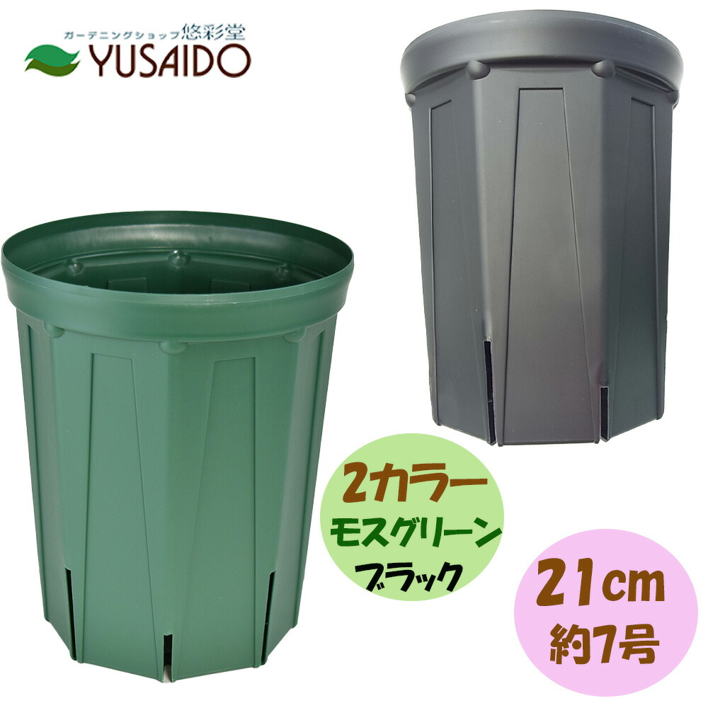 楽天市場】兼弥スリット鉢 ロングサイズ 24cm 8号 モスグリーン