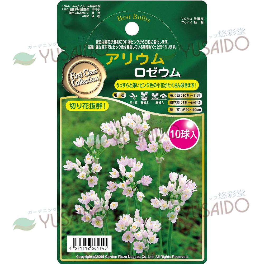 楽天市場 アリウム 球根 ロゼウム 10球 花色 薄ピンク タキイ種苗 Gpnコレクション 悠彩堂