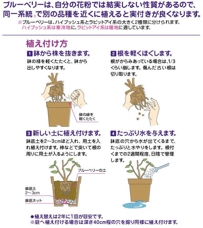 楽天市場 花ごころ ブルーベリーの土 ５リットル 悠彩堂