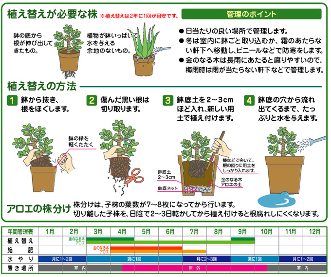 楽天市場 花ごころ 金のなる木 アロエの土 １２リットル 悠彩堂