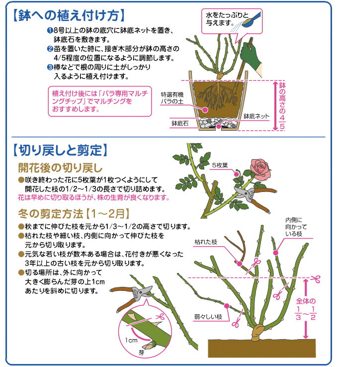 花ごころ特選有機バラの土15リットル培養土バラ土