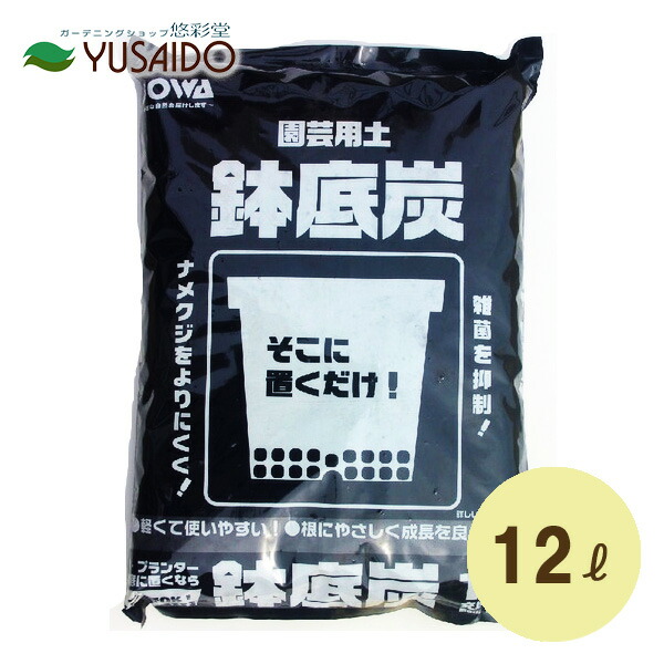 明るい炭鉱 | 吉岡 宏高 |本 | 通販 | Amazon