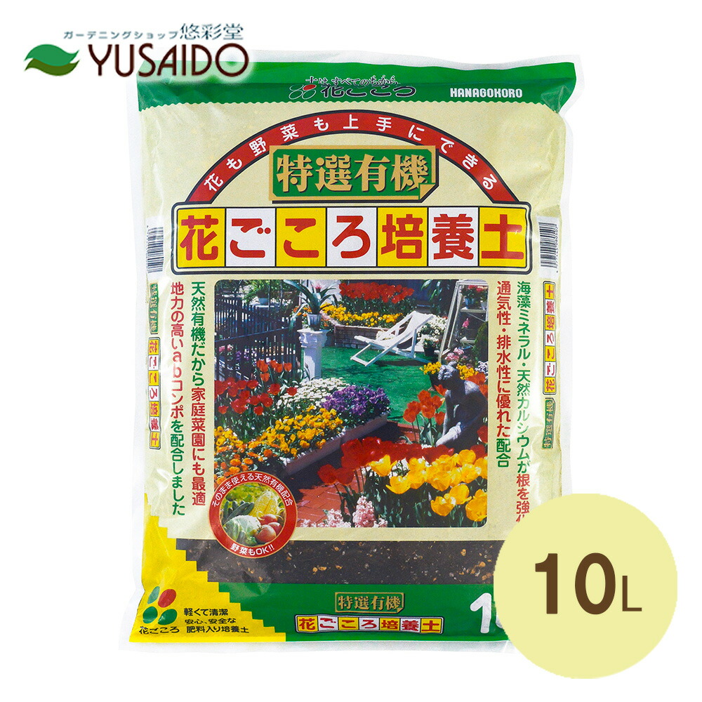 楽天市場】【ポイント5倍】花ごころ 観音竹棕櫚竹の土 12Lグリーン
