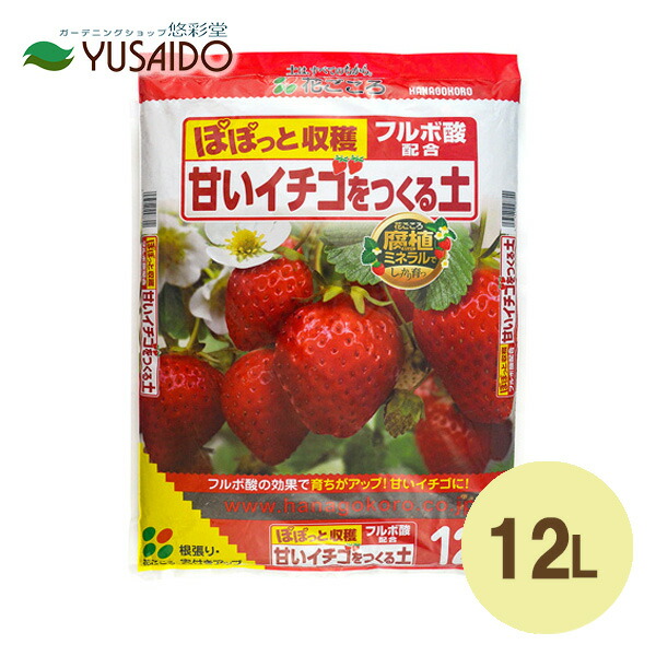 イチゴさん専用 hachiya-fruits_icgs5404l3l-02