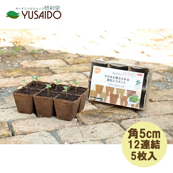 楽天市場】ジフィーセブン 直径30mm 業務用 2000個入タネまき 種まき