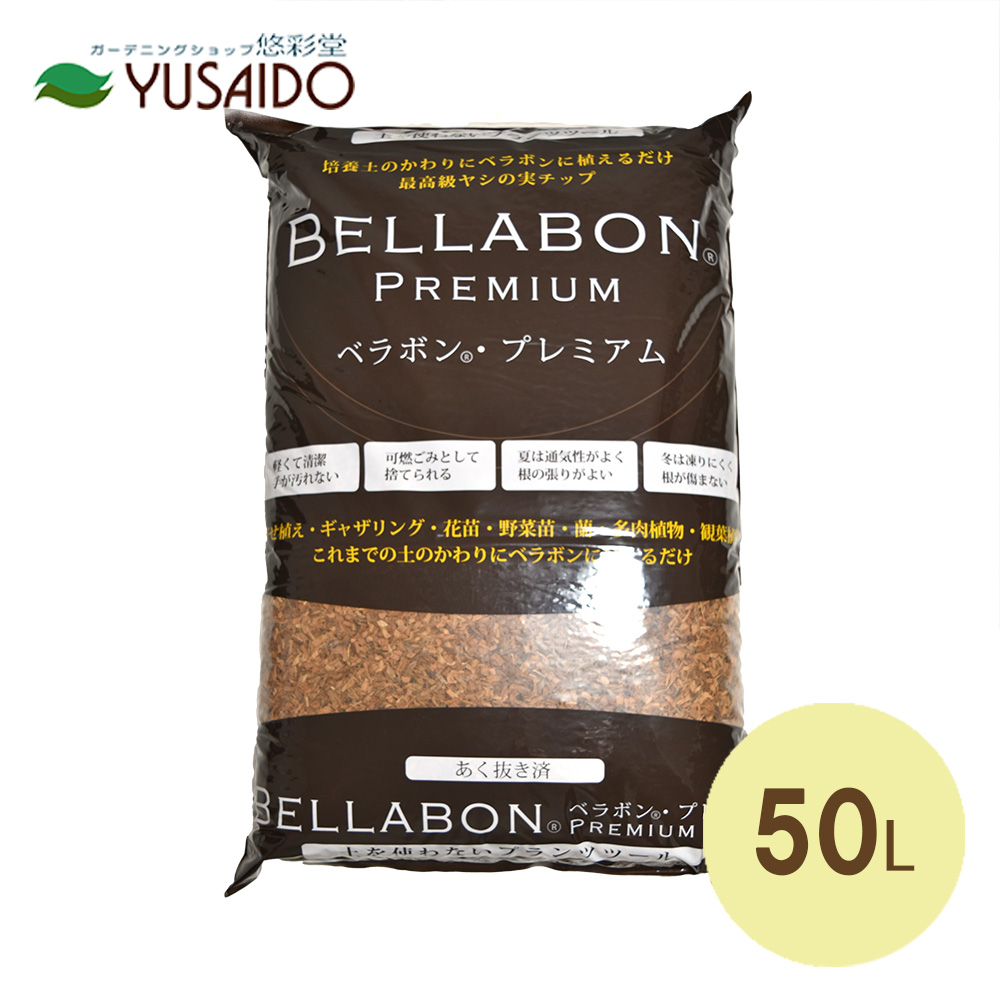【百貨店大売り出し】今なら二分の一+尖んがり5倍