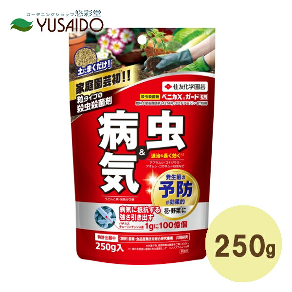 楽天市場】住友化学園芸 ベニカＸ乳剤 ３０ｍｌ : 悠彩堂