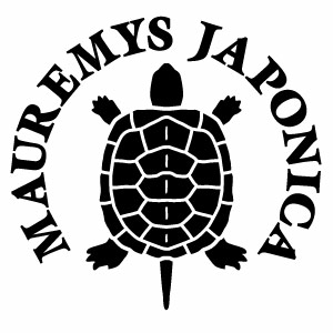ゼニガメモチーフ 日本イシガメの子ガメ Zng006 カッティングステッカー 大判lサイズ 2枚組 幅約26 5cm 高約25 1cm ゼニガメモチーフ ハンドメイド Magazines2day Com