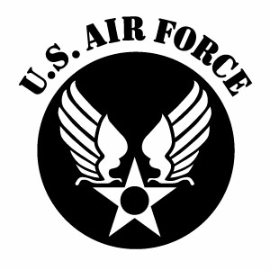 楽天市場】【U.S. AIR FORCE ver.071（抜き文字）カッティング
