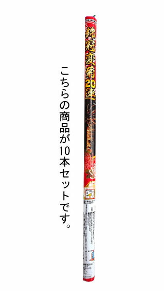 錦冠変菊20連【連発花火】