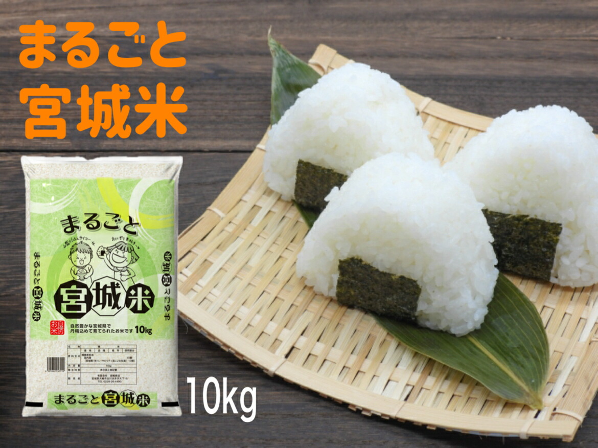 つや姫 宮城県産 10kg 令和6年産 白米 5kg×2袋 : 米屋のこうむら