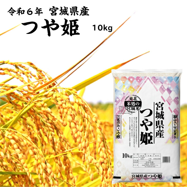 楽天市場】令和6年産 宮城県産 つや姫 10kg 玄米 5分 7分 精白米