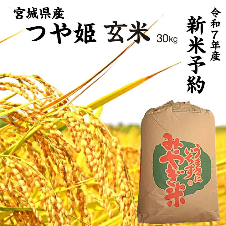 楽天市場】2025年産 新米予約 無農薬無肥料「ササニシキ 玄米