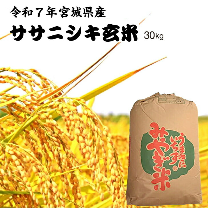 楽天市場】【令和7年産新米】 つや姫 「玄米」30kg 宮城県産 【送料