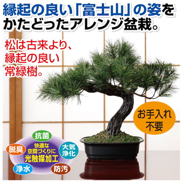 アレンジ盆栽 富士の松 ライフスタイル ガーデニング フラワー 観葉植物 盆栽fl 1438 盆栽 和 富士山 縁起物 常緑樹 松 光触媒加工 手入れ不要 工芸盆栽 防汚 浄水 脱臭 Timgroomarchitects Com