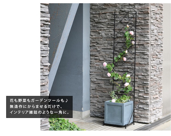 エクステリア ガーデンファニチャー フェンス プランター台付フェンス プランターセット スリムタイプ アーガイル If Fp017set フェンス アイアン ガーデンフェンス ガーデニング 仕切り 目隠し アンティーク トレリス ベランダ つる 薔薇 バラ 園芸 Painfreepainrelief Com