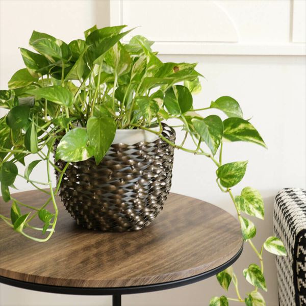 ガーデニング 農業 植木鉢 プランター 植木鉢 プランターカバー アイアンプランター 鉢カバー ゴールド Lサイズ 2408TSF004 アイアン モダンテイスト スタンド型 プランター 鉢カバー ガーデニング ディスプレイ お部屋 玄関 小物 花台 インテリア 和風 洋風 モダン