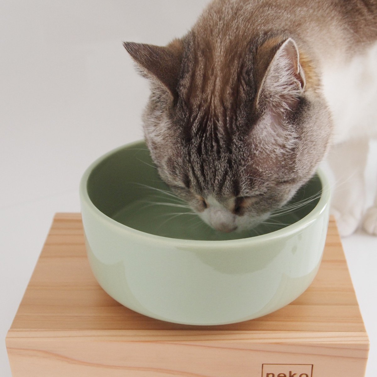 楽天市場 ヘルスウォーターボウル M 犬 猫 食器 皿 水 ボウル 遊活館