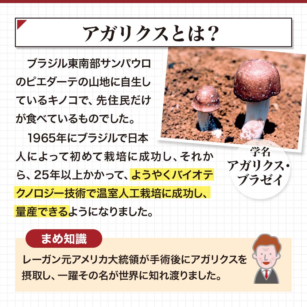 訳あり アガリクス茸ゴールド粒 300粒 最大70 オフ 約25 30日分 賞味期限22年9月17日のみ 送料無料 宅配便 アガリクス アガリクスサプリ アガリスク アガリスクサプリ エキス サプリ Bグルカン Bグルカン サプリメント 粒 女性 アガリクス菌糸体 菌糸体