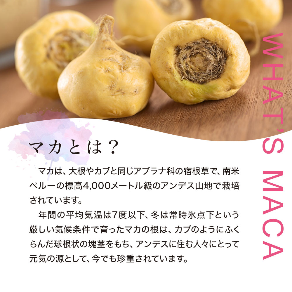 最新作の 有機マカ100％ 300粒×12個セット 約360日分 送料無料 宅配便 マカ maka マカサプリメント マカサプリ アンデス 有機マカ粒  オーガニック 有機JAS 無添加 100% 妊活 元気 サプリ サプリメント 栄養 タンパク質 アミノ酸 亜鉛 粒 女性 男性 健康 健康食品 ...