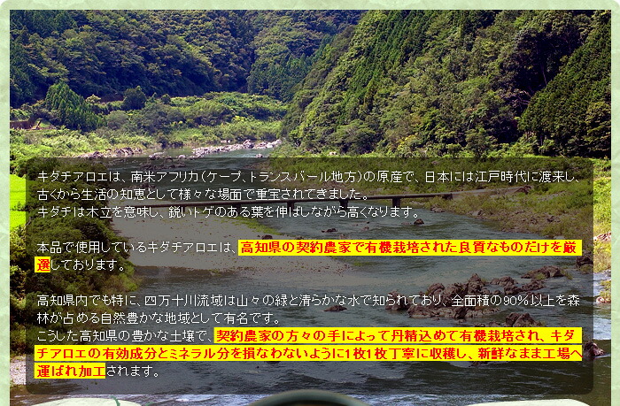 【定期購入】 有機キダチアロエ100％ 約120粒 約24～30日分 送料無料 宅配便 | キダチアロエ 粒 サプリ サプリメント タブレット キダチアロエ粒 アロエ粒 有機 オーガニック JAS 有機JAS 国産 高知 産 100% 無添加 アロエ エキス キダチアロエエキス 腸活 腸活サプリ