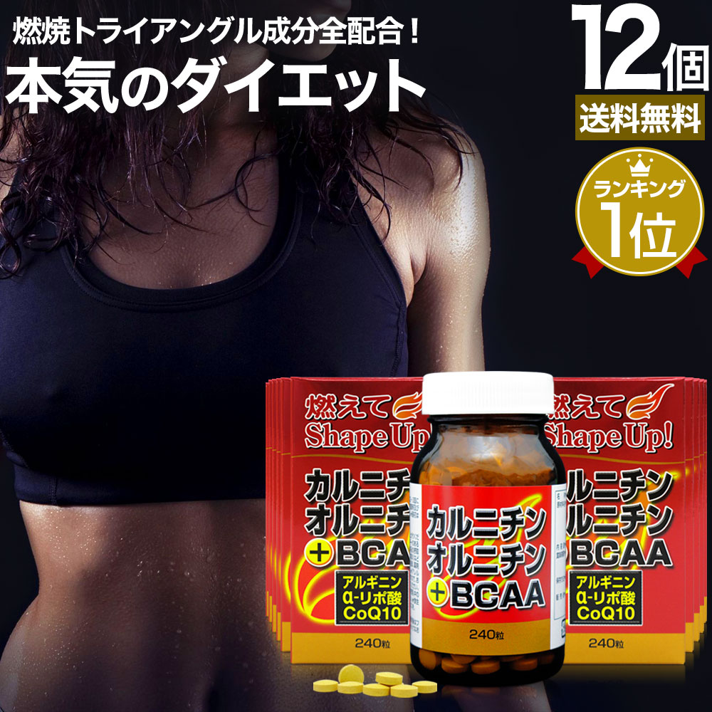 安心と信頼 カルニチン オルニチン BCAA 240粒×12個セット 約360〜480日分 送料無料 宅配便 ダイエット サプリ サプリメント  ダイエット食品 ダイエットサプリメント 男性 女性 強力 Lカルニチン αリポ酸 粒 タブレット まとめ買い fucoa.cl