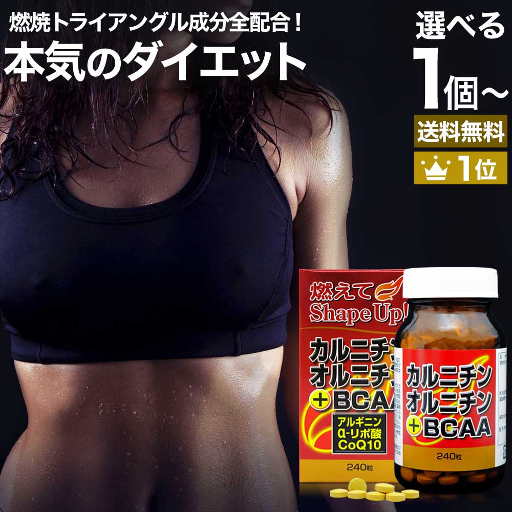 カルニチン・オルニチン+BCAA 240粒 約30~40日分 送料無料 宅配便 | ダイエット サプリ サプリメント ダイエット食品 ダイエットサプリメント 男性 女性 強力 Lカルニチン αリポ酸 アルファリポ酸 BCAA オルニチン オルニチンサプリ 粒 タブレット|健康食品と馬油専門店 ユウキ製薬